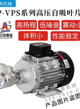 aulankVP-VPS-05S-7-100/150/200/400/800高温泵叶片泵