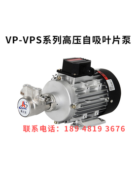 aulank奥兰克VP-VPS-05S-7-100/150/200/400/800高温泵叶片泵