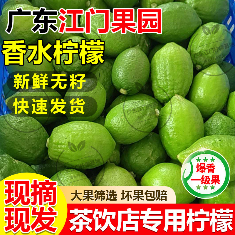 广东香水柠檬手打柠檬茶浓香型