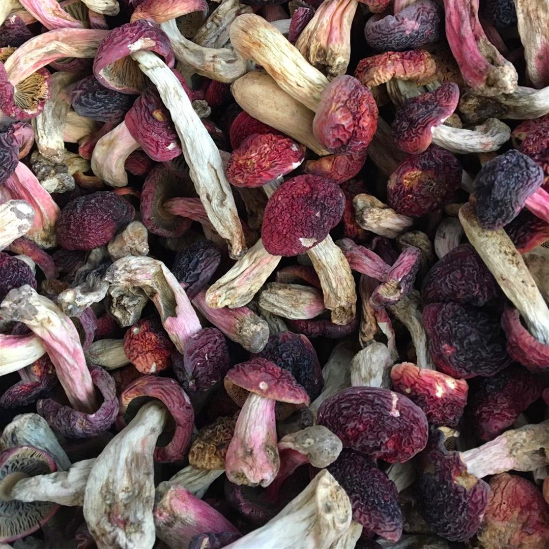 红菇干货素食野生正红菇丁菇云南福建特产月子煲汤真红菌菇蕾蘑菇