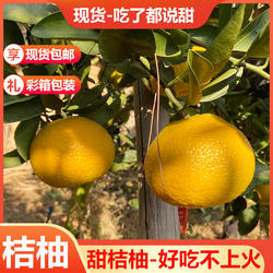 江西赣南会昌桔柚大果甜黄金贡柚非福建建阳甜桔柚子水果10斤20斤