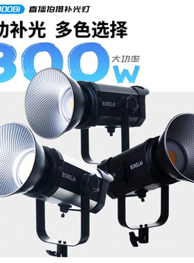 300W足功率摄影灯播客莱BK300Bi直播间补光灯BOKELAI双色室内打光