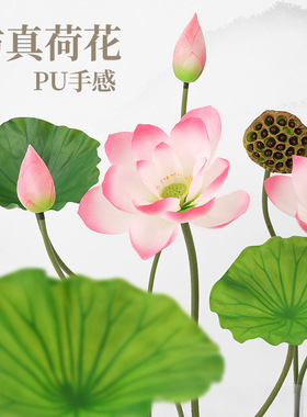 仿真荷花莲蓬荷叶拍照装饰道具
