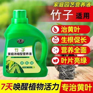 竹子营养液小叶簕竹肥料水培专治黄叶通用型专用肥生根室内外家用
