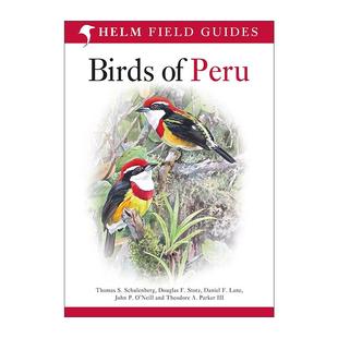 Peru 秘鲁鸟类图鉴 英文版 书籍 英文原版 进口英语原版 Birds