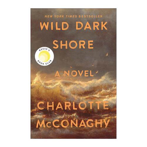 英文原版 Wild Dark Shore 荒野暗岸 精装 英文版 进口英语原版书籍