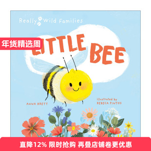 英文原版 Little Bee A Day in the Life of the Bee Brood 小蜜蜂的一天 儿童动物精装绘本 Really Wild Families 进口英语书籍
