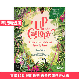 英文原版 Up in the Canopy 树冠上的风景 逐层探索雨林 邱园英国皇家植物园联合出版 儿童精装科普百科绘本 进口英语原版书籍