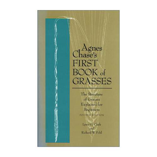 英文原版 Agnes Chase's First Book of Grasses 草的经典初学者插图指南 第四版 草类入门 自然植物科普 英文版进口英语原版书籍