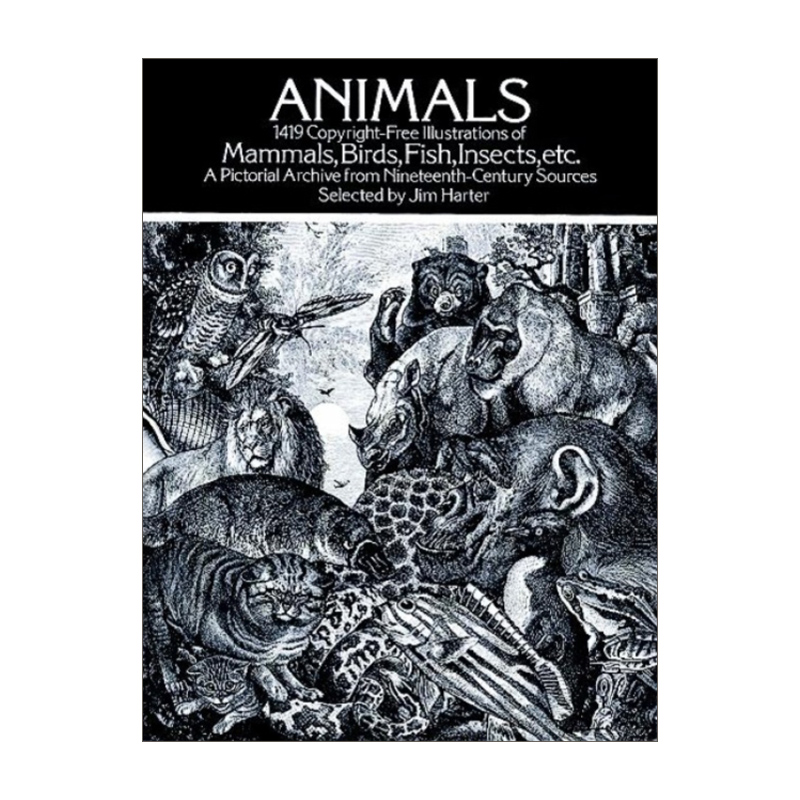 Animals 动物插画 哺乳动物 鸟类 鱼类 昆虫等插图 Jim Harter进口原版英文书籍