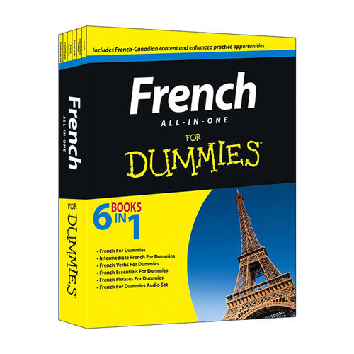 原版 French All-In-One for Dummies 法语入门一本通 达人迷 含光盘 进口原版书籍