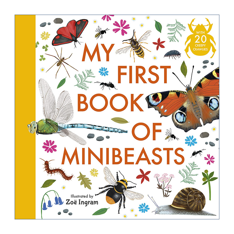 My First Book of Minibeasts 我的第一本迷你昆虫书 精装科普绘本进口原版英文书籍