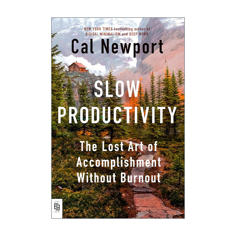英文原版 Slow Productivity 慢速高效 如何不倦怠地取得成就 经济学人年度好书 优秀到不能被忽视作者卡尔·纽坡特 进口原版书籍