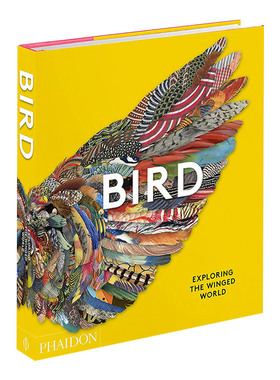 Bird:Exploring the Winged World 鸟：探索有翼世界进口原版英文书籍
