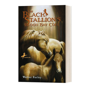 Farley Black Blood 英文原版 Colt Walter 小说 血湾小马 Stallion 黑神驹 黑神驹系列 进口书籍 英文版 Bay The