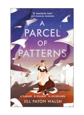 英文原版 A Parcel of Patterns 意外的包裹 吉尔?佩顿?沃尔什经典儿童故事 英文版 进口英语原版书籍