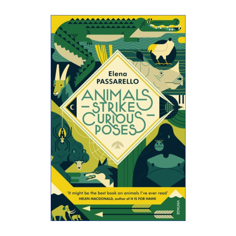 Animals Strike Curious Poses 动物奇形录 埃莱娜·帕萨雷洛进口原版英文书籍