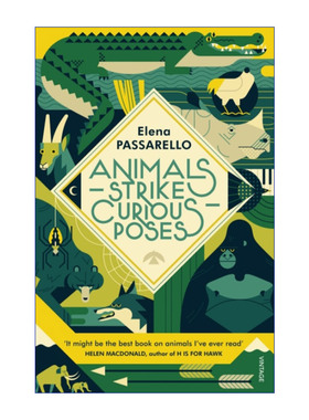 Animals Strike Curious Poses 动物奇形录 埃莱娜·帕萨雷洛进口原版英文书籍
