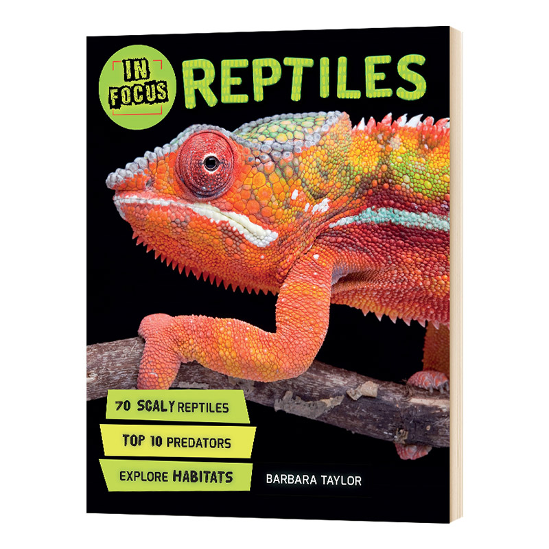 In Focus: Reptiles聚焦：爬行动物 精装科普绘本进口原版英文书籍