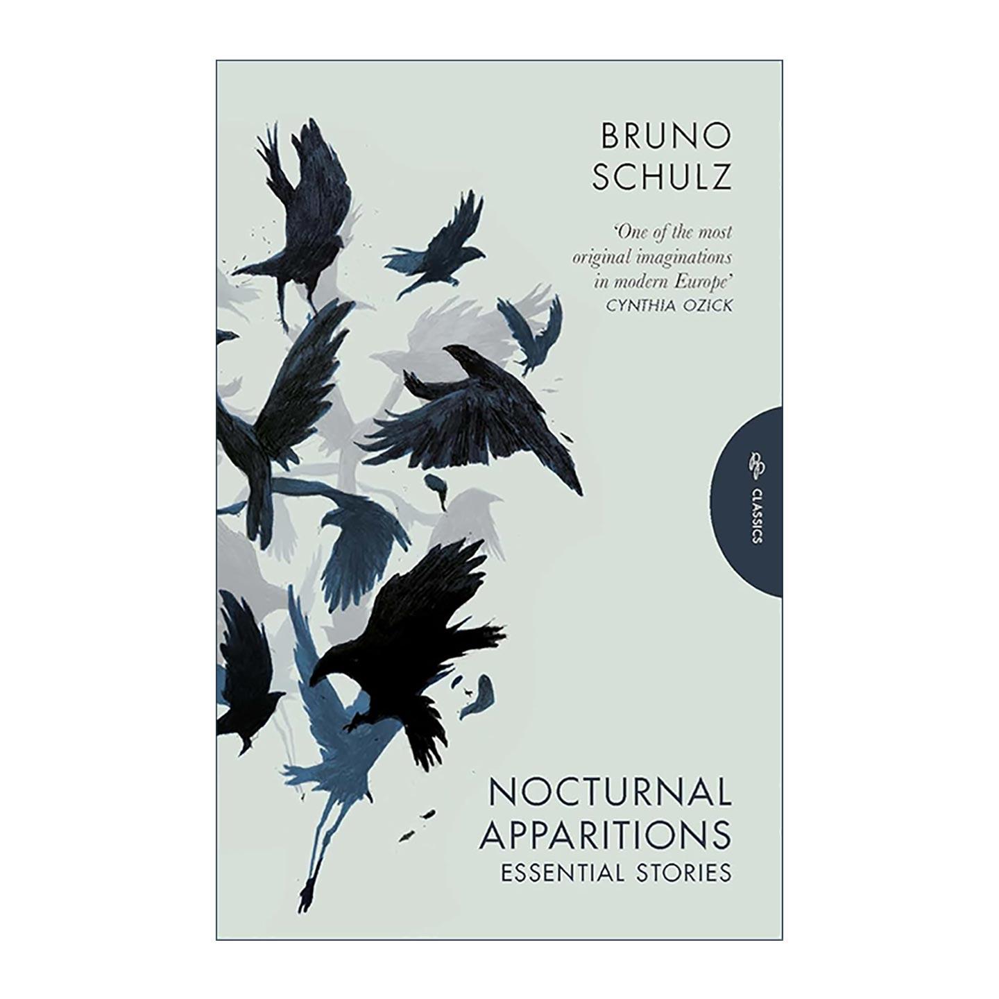 英文原版 Nocturnal Apparitions 夜间幽灵 波兰裔犹太作家布鲁诺·舒尔茨 短篇集 英文版 进口英语原版书籍