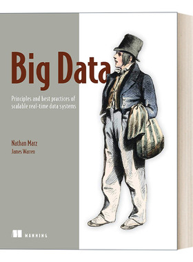 英文原版 Big Data: Principles and best practices of scalable realtime data systems 大数据 英文版 进口原版英文书籍