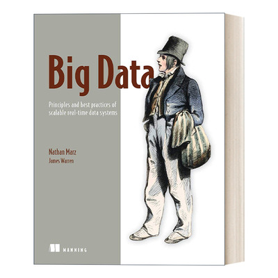英文原版 Big Data: Principles and best practices of scalable realtime data systems 大数据 英文版 进口原版英文书籍