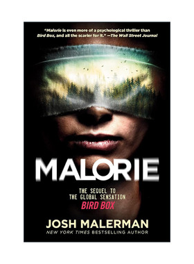 英文原版 Malorie 玛洛里 Bird Box鸟盒续集 Josh Malerman乔什·玛勒曼英文版 进口英语原版书籍