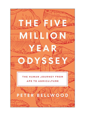 英文原版 The Five-Million-Year Odyssey 500万年的奥德赛 人类从猿到农的旅程 农人作者Peter Bellwood 精装进口英语书籍