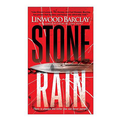 英文原版 Stone Rain Zack Walker 04 扎克·沃克系列4 石雨  惊悚小说 无暇道别作者林伍德·巴克雷 英文版 进口英语原版书籍