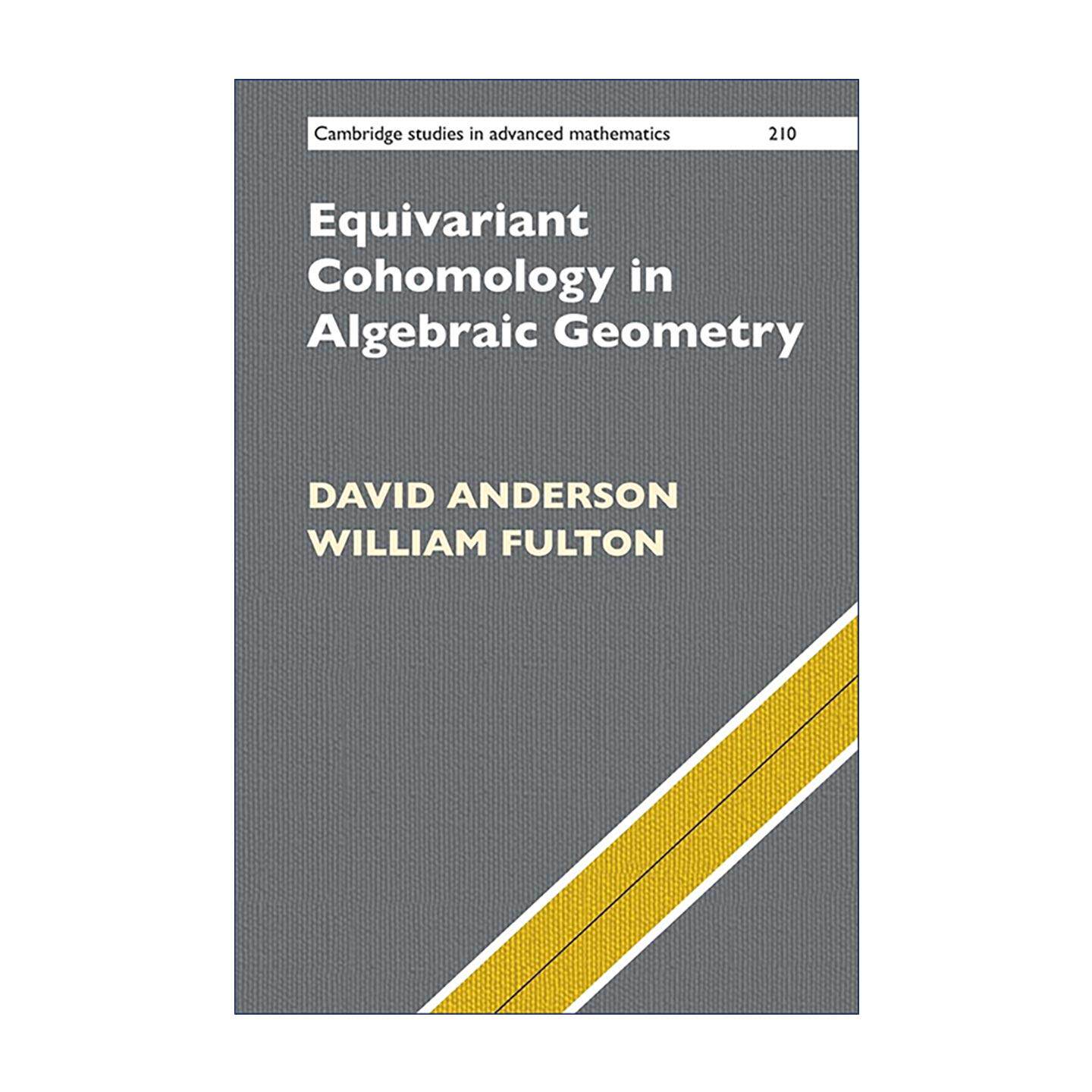 英文原版 Equivariant Cohomology in Algebraic Geometry 代数几何中的等变上同调 剑桥高等数学研究系列 进口英语原版书籍