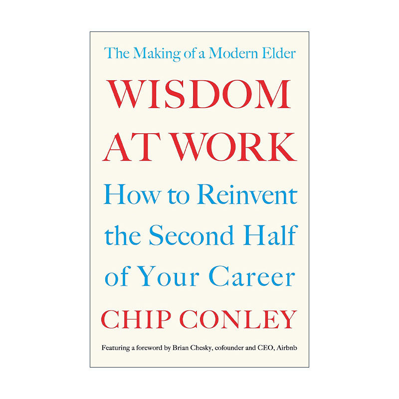 英文原版 Wisdom at Work 除了经验我们还剩下什么 奇普·康利 英文版 进口英语原版书籍