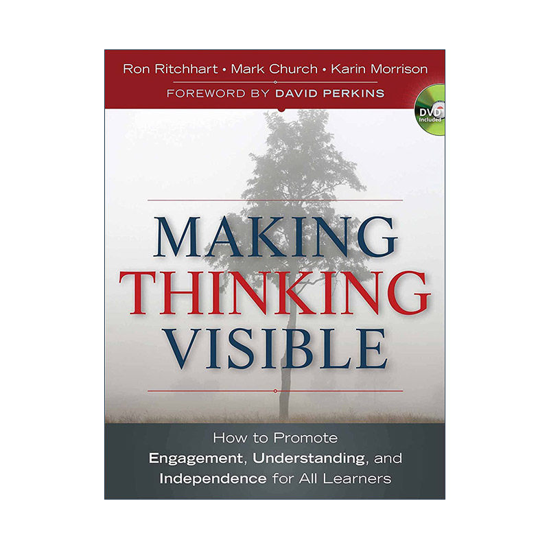 英文原版 Making Thinking Visible 哈佛大学教育学院思维训练课 让学生学会思考的20个方法 Ron Ritchhart 进口英语原版书籍