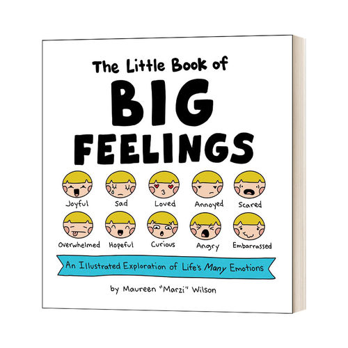 The Little Book Of Big Feelings 小书大情感进口原版英文书籍