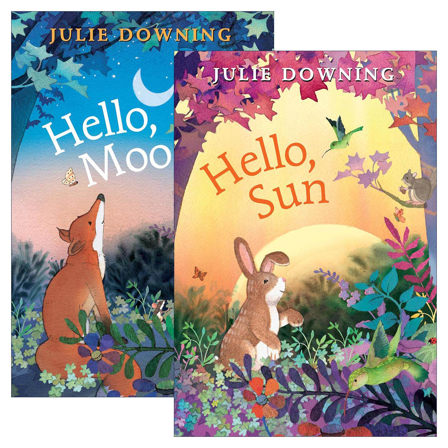 英文原版 Hello Moon/Sun 月光/阳光之中2册 儿童精装绘本 家长选择奖得主朱莉·唐宁 英文版 进口英语原版书籍