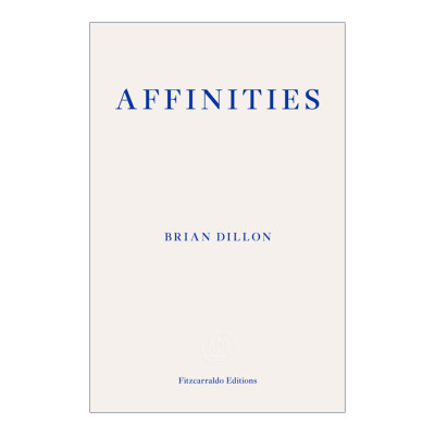 Affinities 亲和力 论艺术与魅力 布莱恩·狄龙进口原版英文书籍