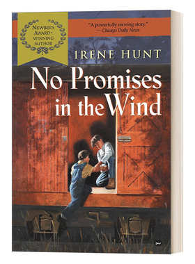 英文原版小说 No Promises in the Wind 风中的诺言 纽伯瑞获奖作家Irene Hunt 青少年小说 英文版 进口英语原版书籍