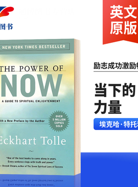 当下的力量 The Power of Now 英文原版 埃克哈特托利 Eckhart Tolle 励志成功激励畅销书 英文版进口原版英语书籍