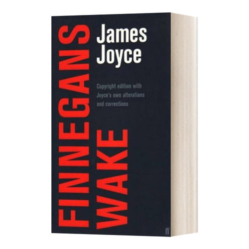 Finnegans Wake 芬尼根的守灵夜 詹姆斯·乔伊斯进口原版英文书籍