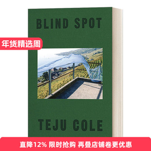英文原版 Blind Spot 盲点 摄影散文集 时代周刊图书 美国笔会 海明威奖获得者Teju Cole 精装 英文版 进口英语原版书籍