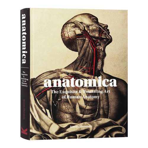 解剖学 人体解剖学精美艺术 Anatomica 英文原版书 医学手稿插画册 探索人体解剖学 英文版 进口原版英语书籍 Joanna Ebenstein