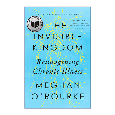 The Invisible Kingdom 看不见的王国 重新构想慢性病 Meghan O'Rourke进口原版英文书籍