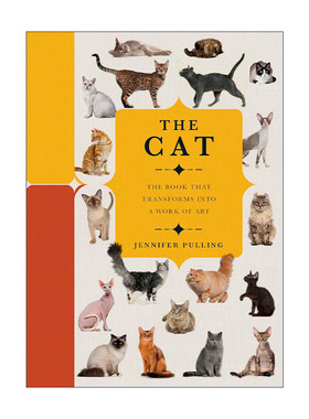 英文原版 Paperscapes The Cat 纸上风采 猫 精装礼物书 精装 英文版 进口英语原版书籍