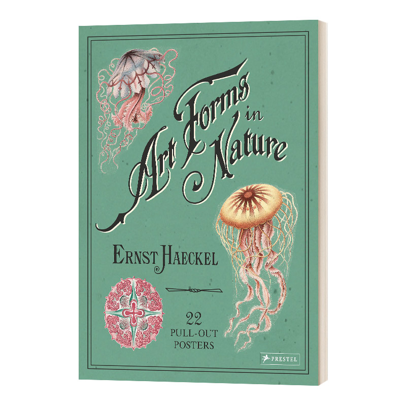 英文原版 Ernst Haeckel Art Forms in Nature 恩斯特 海克尔 自然界中的艺术形式 22张海报 英文版 进口英语原版书籍