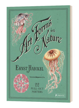 英文原版 Ernst Haeckel Art Forms in Nature 恩斯特 海克尔 自然界中的艺术形式 22张海报 英文版 进口英语原版书籍