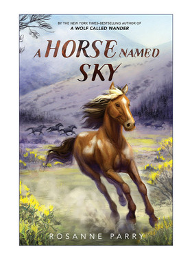 A Horse Named Sky 野马  精装 荒野之声系列 生存故事 动物主题插图小说进口原版英文书籍
