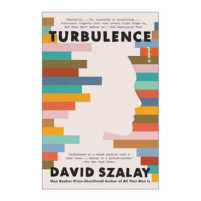 英文原版 Turbulence 湍流 大卫·索洛伊 英文版 进口英语原版书籍