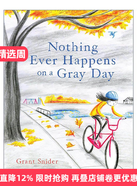 英文原版 Nothing Ever Happens on a Gray Day 灰色的日子里什么都不会发生 诗歌漫画 精装 英文版 进口英语原版书籍