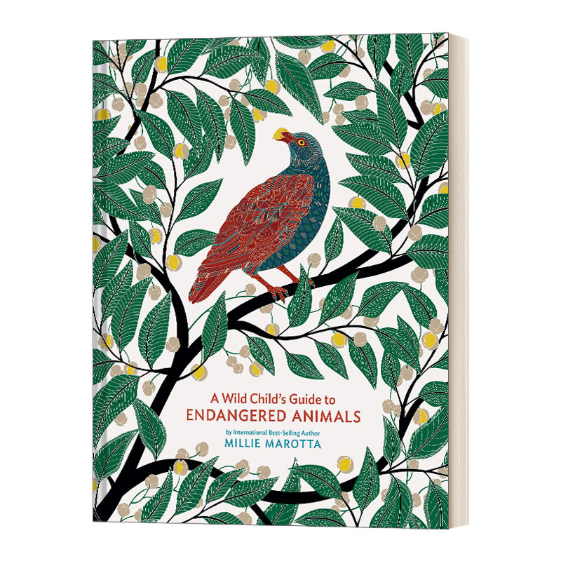 英文原版 A Wild Child's Guide to Endangered Animals 濒临灭绝的动物 精装绘画版 英文版 进口英语原版书籍