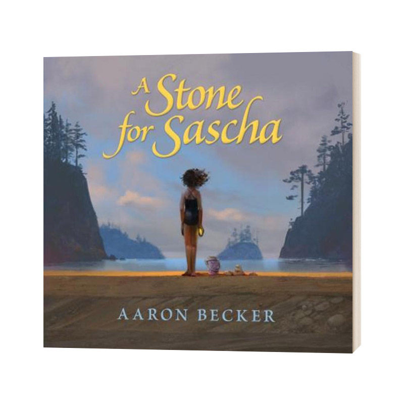 英文原版 A Stone for Sascha 莎莎的石头 5-9岁儿童绘本 精装 凯迪克奖得主Aaron Becker 英文版 进口英语原版书籍