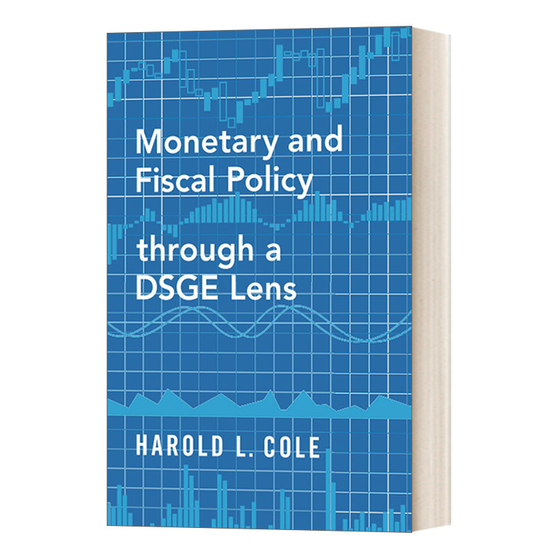 英文原版 Monetary and Fiscal Policy through a DSGE Lens 基于DSGE模型的货币与财政政策 英文版 进口英语原版书籍